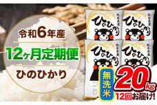 【12ヶ月定期便】令和6年産 定期便 無洗米 ひのひかり20kg 《申込み翌月から発送》令和6年産 熊本県産 ふるさと納税 精米 ひの 米 こめ ふるさとのうぜい ヒノヒカリ コメ 熊本米