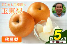 さかもと果樹園の玉東梨 秋麗梨 約5kg (6玉-18玉前後) 《8月中旬-8月下旬頃出荷》【日付指定・品種指定不可】 熊本県玉名郡玉東町 梨 なし 果物 フルーツ 秋麗