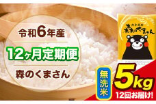 令和6年産 森のくまさん 【12ヶ月定期便】 無洗米 《お申し込み月の翌月から出荷開始》 5kg (5kg×1袋) 計12回お届け 熊本県産 単一原料米 森くま 熊本県 玉東町