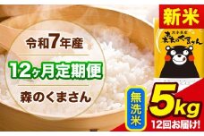 新米 令和7年産 森のくまさん 【12ヶ月定期便】 無洗米 《11月から出荷開始》 5kg (5kg×1袋) 計12回お届け 熊本県産 単一原料米 森くま 熊本県 玉東町