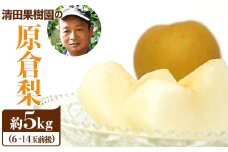 【日付指定不可】『清田果樹園』の原倉梨 約5kg 《9月上旬-10月上旬頃出荷》6-14玉前後 新高梨 新興梨 あきづき 豊水梨 熊本県玉名郡玉東町 梨【ふるさと納税】 st-p