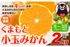 みかん 小玉みかん くまもと小玉みかん 2kg  秋 旬 ご家庭用 SDGs 小玉 たっぷり 熊本県 産 S-3Sサイズ フルーツ 旬 柑橘 熊本県産 温州みかん《1月中旬-2月中旬頃出荷》みかん 温州みかん 旬みかん