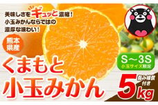 訳あり みかん 小玉みかん くまもと小玉みかん  5kg 秋 旬 不揃い 傷 ご家庭用 SDGs 小玉 たっぷり 熊本県 産 S-3Sサイズ フルーツ 旬 柑橘 熊本県産 温州みかん《1月中旬-2月中旬頃出荷》