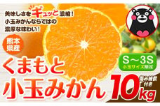 訳あり みかん 小玉みかん くまもと小玉みかん  10kg 秋 旬 不揃い 傷 ご家庭用 SDGs 小玉 たっぷり 熊本県 産 S-3Sサイズ フルーツ 旬 柑橘 熊本県産 温州みかん《1月中旬-2月中旬頃出荷》