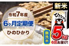 【6ヶ月定期便】新米 令和7年産  定期便 無洗米 ひのひかり 5kg 《申込み翌月から発送》令和7年産 熊本県産 ふるさと納税 精米 ひの 米 こめ ふるさとのうぜい ヒノヒカリ コメ 熊本米 ひのもり