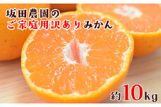 ご家庭用訳あり 『坂田農園』のご家庭用みかん 大容量 約10kg(2S-2Lサイズ)【日付指定不可】《10月上旬-1月末頃出荷》熊本県玉東町産限定 予約受付中 フルーツ 秋 旬 玉東町70年のベテラン！濃厚な食味とジューシーな果汁 熊本県玉東町 