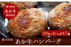 あか牛ハンバーグ たっぷり7個入り《7-14日以内に出荷予定(土日祝除く)》熊本県 玉名郡 玉東 あか牛 ハンバーグ