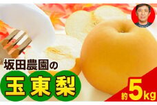  期間限定 『坂田農園』の玉東梨 約5kg 7-16玉前後《8月中旬-9月末頃出荷》 熊本県玉名郡玉東町産『坂田農園』なし 果物 スイーツ フルーツ デザート  旬 豊水 あきづき 新高