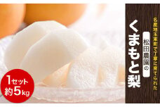 『松田農園』の玉東梨 (約5kg) 《7月下旬-9月末頃出荷》熊本県 玉名郡 玉東町 梨 ナシ フルーツ 果物 送料無料 旬