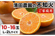 清田農園のご家庭用不知火10玉-16玉(L-2Lサイズ) あのデコポンと同品種 熊本県玉名郡玉東町《3月上旬-3月末頃出荷》