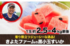 『きよたファーム』の黒小玉すいか2玉セット 1玉約2.5-4kg前後 熊本県玉名郡玉東町『きよたファーム』すいか フルーツ 果物 熊本県産《7月上旬-8月中旬頃出荷》
