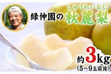 『緑伸園』の秋麗梨 期間限定 たっぷり約3kg 5～9玉前後 《8月上旬-8月下旬頃出荷》 なし 秋麗 果物 スイーツ フルーツ デザート スムージーにも 熊本県玉東町産
