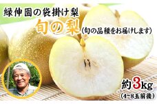 『緑伸園』の旬の梨 約3kg《8月中旬-9月下旬頃出荷》 旬の品種をお届け 予約受付中  4-8玉前後入り 梨 旬 豊水 あきづき 新高 