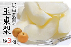 【期間限定】 『坂田農園』の玉東梨 約3kg《8月中旬-9月末頃出荷》 熊本県玉名郡玉東町産『坂田農園』なし 果物 スイーツ フルーツ デザート 旬 豊水 あきづき 新高