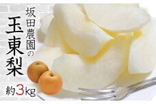 【期間限定】 『坂田農園』の玉東梨 約3kg《8月中旬-9月末頃出荷》 熊本県玉名郡玉東町産『坂田農園』なし 果物 スイーツ フルーツ デザート 旬 豊水 あきづき 新高