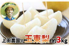 『上田農園』の玉東梨　予約受付中　たっぷり約3kg 3-10玉前後《8月中旬-10月上旬頃出荷》 熊本県 玉名郡 玉東町 梨 ナシ フルーツ 果物 送料無料 梨 旬 豊水 あきづき 甘太 新高