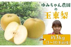 『ゆみちゃん農園』の玉東梨 約3kg 3玉-10玉前後 《8月下旬-10月上旬頃出荷》熊本県玉名郡玉東町 梨 なし 果物 フルーツ 旬の梨