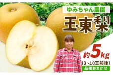 『ゆみちゃん農園』の玉東梨 約5kg 7玉-16玉前後 《8月下旬-10月上旬頃出荷》熊本県玉名郡玉東町 梨 なし 果物 フルーツ 旬の梨