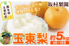 坂村梨園 玉東梨 熊本県玉名郡玉東町 約5kg(5～18玉前後) 梨 なし 果物 旬の梨 《8月中旬-11月上旬頃出荷》豊水 秋麗 あきづき 甘太 新高 新興