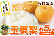 坂村梨園 玉東梨 熊本県玉名郡玉東町 約5kg(5～18玉前後) 梨 なし 果物 旬の梨 《8月中旬-11月上旬頃出荷》豊水 秋麗 あきづき 甘太 新高 新興