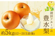 清田フルーツの豊水梨 約5kg(12-20玉前後) 《8月中旬-8月末頃出荷》熊本県玉名郡玉東町 梨 なし 果物 フルーツ