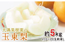 大隅果樹園の玉東梨(旬の品種をお届けします) 約5kg(13-20玉前後) 予約受付中 フルーツ 秋 旬 熊本県玉名郡玉東町 《8月中旬-9月上旬頃出荷》
