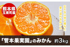 『菅本果実園』のみかん★約3kg(2S-Lサイズ)《11月中旬-12月末頃出荷》 フルーツ 秋 旬★熊本県玉名郡玉東町 全国にファン多数！エコファーマー菅本さんのみかん『菅本果実園』