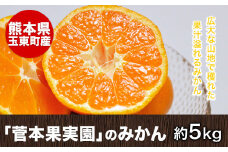 『菅本果実園』のみかん★約5kg(2S-Lサイズ)《11月中旬-12月末頃出荷》 フルーツ 秋 旬★熊本県玉名郡玉東町 全国にファン多数！エコファーマー菅本さんのみかん♪『菅本果実園』