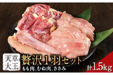 天草大王 贅沢1羽セット 約1.5kg【幻の地鶏】もも・むね・ささみ 各2枚《60日以内に出荷予定(土日祝除く)》