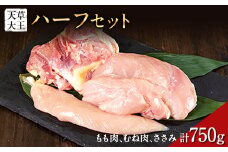 天草大王　ハーフセット 約750g【幻の地鶏】もも・むね・ささみ各1枚 熊本県産 玉東町《60日以内に出荷予定(土日祝除く)》
