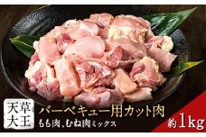 天草大王 バーベキュー用カット肉 1kg 熊本県産 【幻の地鶏】玉東町 もも肉 むね肉《60日以内に出荷予定(土日祝除く)》