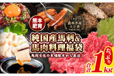 純国産馬刺し＆馬肉料理福袋 計1kg 熊本肥育 2年連続農林水産大臣賞受賞《90日以内に出荷予定(土日祝除く)》 送料無料 馬刺し 馬肉 上赤身 馬肉 ソーセージ ハンバーグ 馬とろ コーネ たてがみ 熊本県玉東町