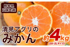 『清晃アグリ』のみかん★約4kg(2S-2Lサイズ) 《11月中旬-12月末頃出荷》予約受付中 フルーツ 秋 旬★熊本県玉名郡玉東町 健康な土で育つジューシーおいしいみかん！