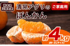 『清晃アグリ』のご家庭用ポンカン 約4kg(M-3Lサイズ)《12月中旬-1月中旬頃出荷》予約受付中 フルーツ 秋 旬 少し青くても甘くてジューシー♪熊本県玉名郡玉東町『清晃アグリ』ポンカン ぽんかん