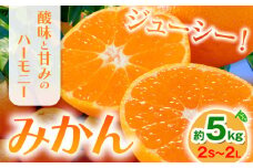 みかん 約5kg (2S-2Lサイズ) 金峰柑橘組合株式会社 ミカン 柑橘 フルーツ 旬 熊本県 玉名郡 玉東町 《10月中旬-1月中旬頃出荷》贈り物 果物 くだもの