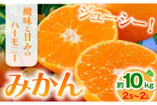 みかん 約10kg (2S-2Lサイズ) 金峰柑橘組合株式会社 ミカン 柑橘 フルーツ 旬 熊本県 玉名郡 玉東町 《10月中旬-1月中旬頃出荷》贈り物 果物 くだもの 