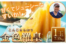 【日付指定不可】『きよたファーム』の黄色すいか1玉 《5月上旬-7月中旬頃出荷》熊本県玉名郡玉東町『きよたファーム』すいか フルーツ 果物 玉東町産 黄色