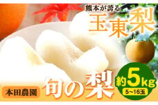 【日付指定不可】『本田農園』旬の梨　約5kg 5~16玉 本田農園《8月下旬-10月上旬頃出荷》 熊本県玉名郡玉東町 梨 なし 果物 旬