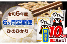 【6ヶ月定期便】令和6年産  定期便 無洗米 ひのひかり 10kg 《申込み翌月から発送》令和6年産 熊本県産 ふるさと納税 精米 ひの 米 こめ ふるさとのうぜい ヒノヒカリ コメ 熊本米 ひのもり