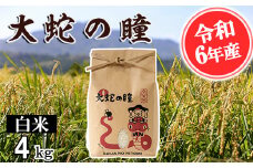 【令和6年産】大蛇の瞳 白米 4kg 精米 熊本県 南関町産 単一原料米 コシヒカリ 産地直送 コメ お米 ごはん