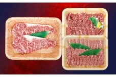 南関産牛のステーキ＆焼肉セット 計900g