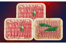 南関産牛のすき焼き＆焼肉セット 計1kg(2~3人前)