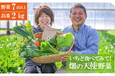 【お試し単品】いちど食べてみて「畑の天使」野菜《お米2kg入り》おまかせ 詰め合わせ 旬 野菜セット 新鮮 こだわり 朝採れ 採れたて フレッシュ サラダ 料理 人気 おすすめ 産地直送 熊本県 南関町
