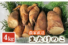 【先行受付】生たけのこ 4kg予約 4月上旬～中旬発送