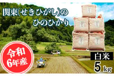 【令和6年産】関東(せきひがし)のひのひかり 白米 5kg 真空 パック 熊本県 南関町産 単一原料米 ヒノヒカリ 産地直送 お米