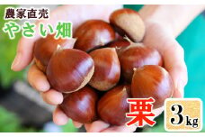 やさい畑の美味しい栗 3Kg  9月中旬から順次発送