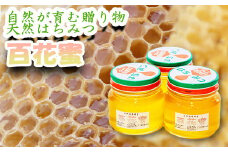 《南関町の豊かな自然が育む》百花蜜 300g×3瓶