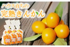 橋本果樹園のハウス完熟きんかん 2kg