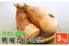 【先行受付】やさい畑の朝堀りたけのこ 3kg予約 3月中旬～4月上旬発送