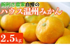 ハウス温州みかん 2.5kg ベテラン生産者が作る甘く濃厚な加温栽培みかん
